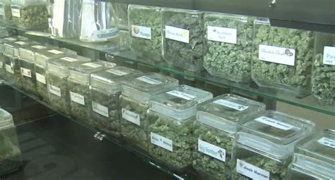 Some companies look to drop marijuana testing for 